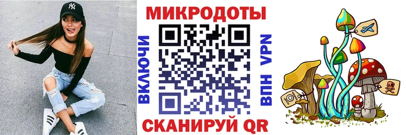 Купить  Ртищево  Галлюциногенные грибы Magic Shrooms 