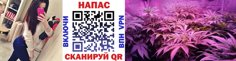 Каннабис LSD WEED Купить Ртищево